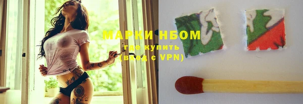прущие грибы Беломорск