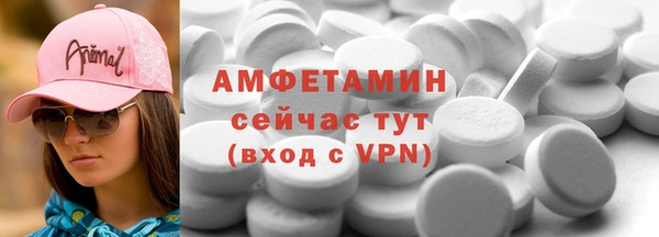 прущие грибы Беломорск
