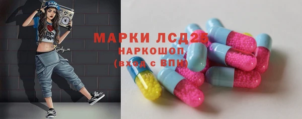 прущие грибы Беломорск