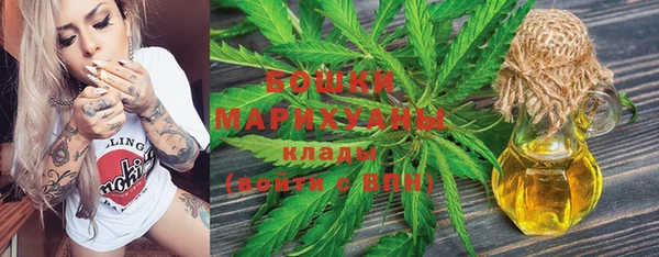 прущие грибы Беломорск