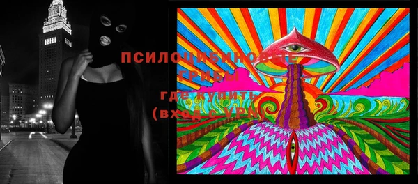 стаф Белоозёрский