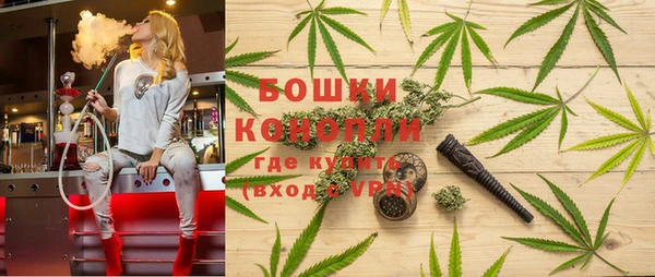 прущие грибы Беломорск
