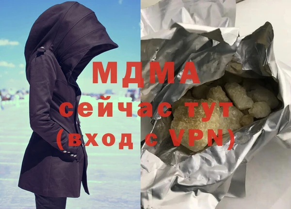 прущие грибы Беломорск