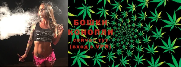 стаф Белоозёрский