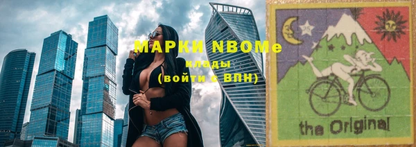 прущие грибы Беломорск