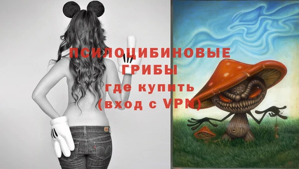 ECSTASY Белокуриха