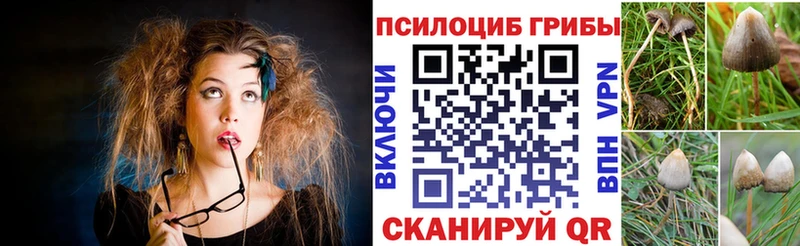 Галлюциногенные грибы Psilocybine cubensis  наркотики  Кузнецк 